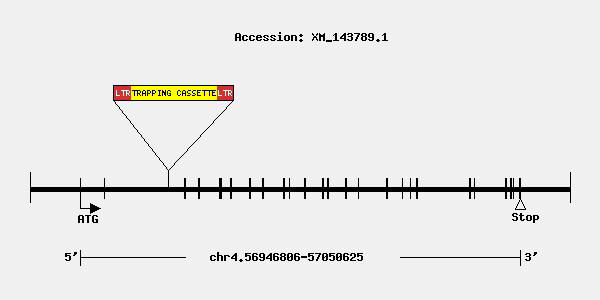 mutation-8851