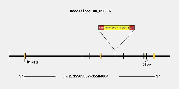 mutation-8902