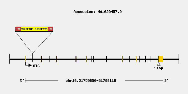 mutation-8933