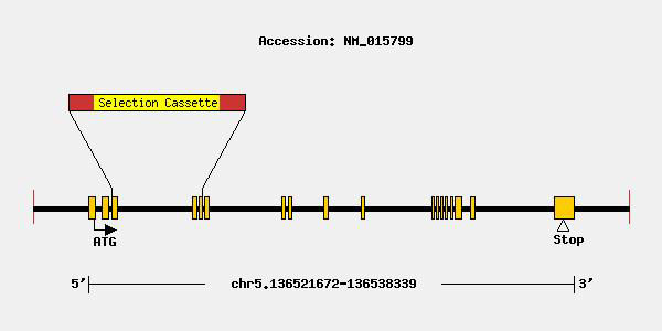 Tfr2 Taconic Biosciences