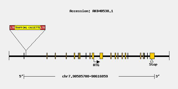 mutation-9078