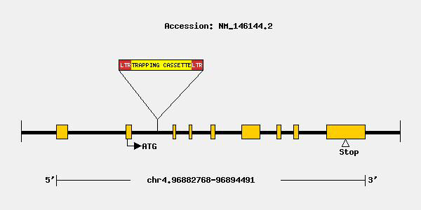 mutation-9109