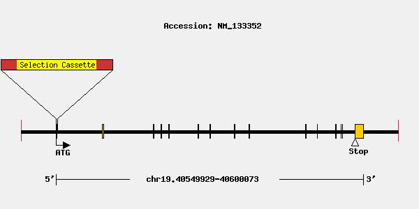 mutation-9259