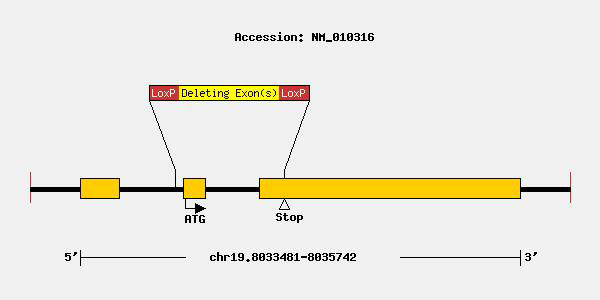 mutation-9349