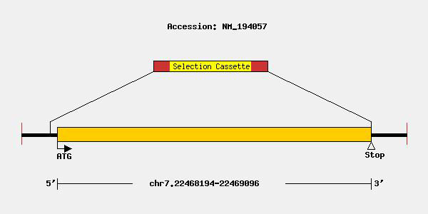 mutation-9371