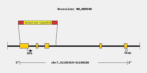 mutation-9427