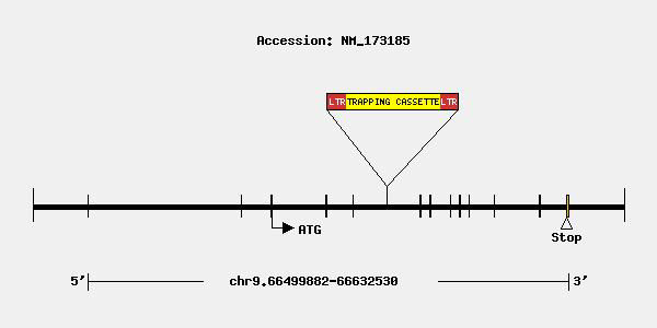 mutation-9503