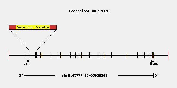 mutation-9632