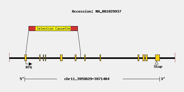 mutation-9700