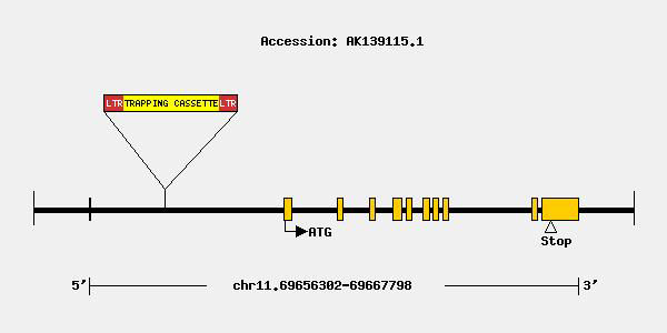 mutation-9761