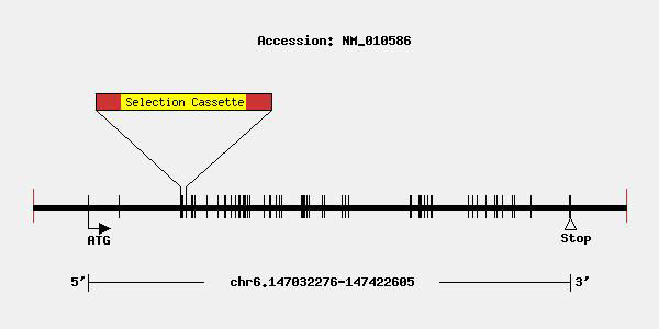 mutation-9824