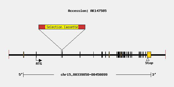 mutation-9825