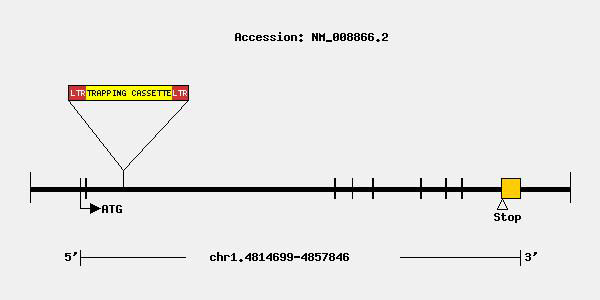 mutation-9926