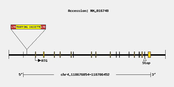 mutation-9933