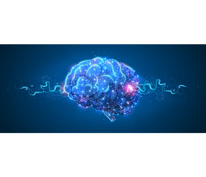 blood brain barrier