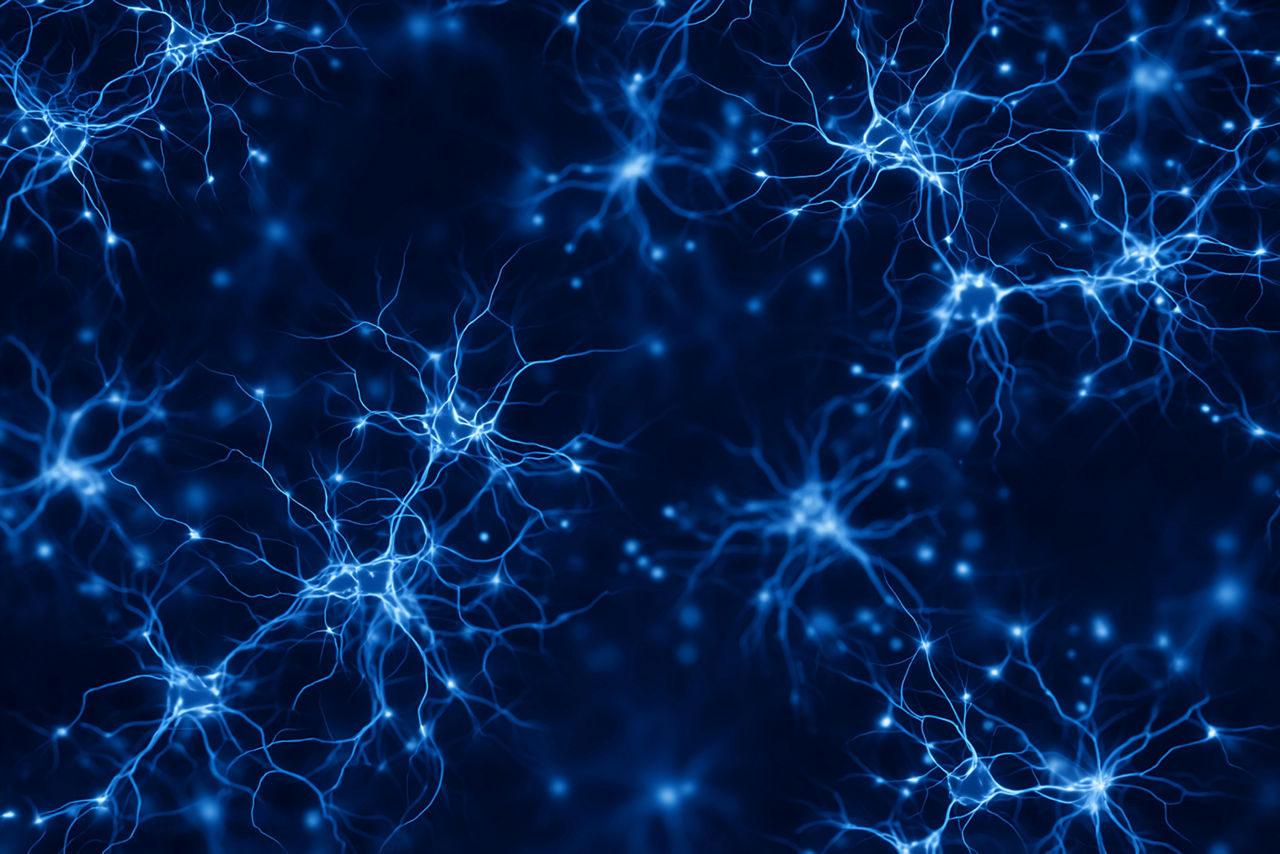 neurons