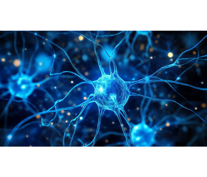 Neuro