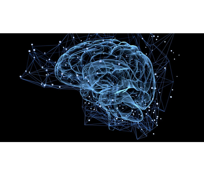 Alzheimer's Disease Mouse Models