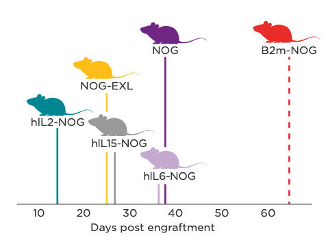 second gen NOG mice post-engraftment chart