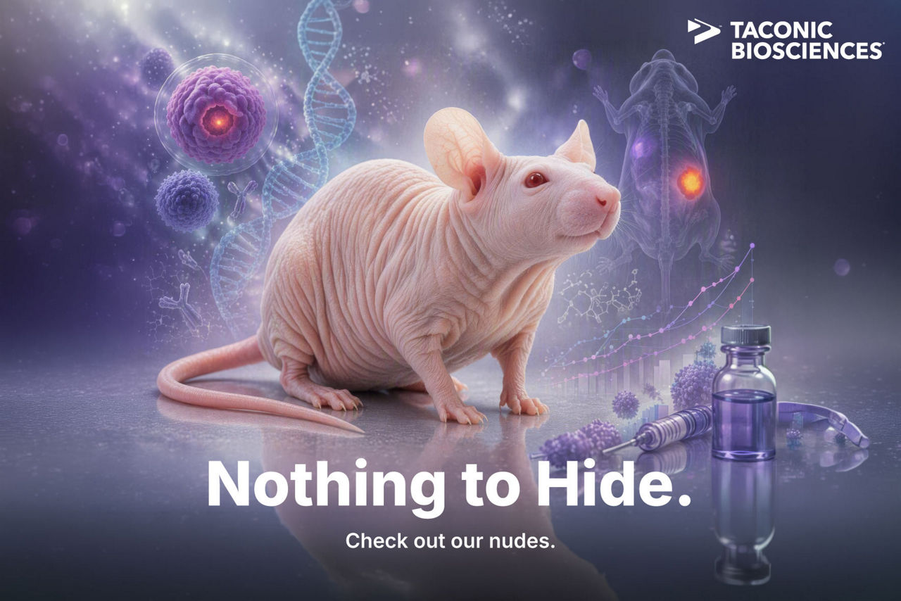 Nude Rat