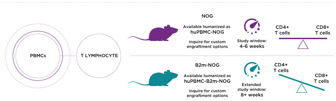 NOG Portfolio Mouse Strains for Oncology & Immuno-Oncology NOG Portfolio Mouse Strains for Oncology & Immuno-Oncology