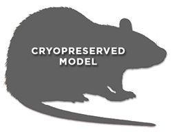 Pirc ENU-induced mutant Rat Model 