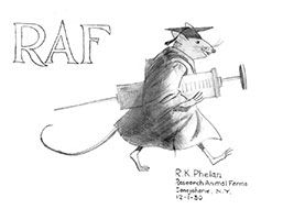 RAF Taconic Mouse Illustration