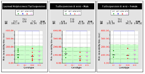 Three plots are shown for tail suspension assay with individual data points by mouse, with mice of varying genotypes.