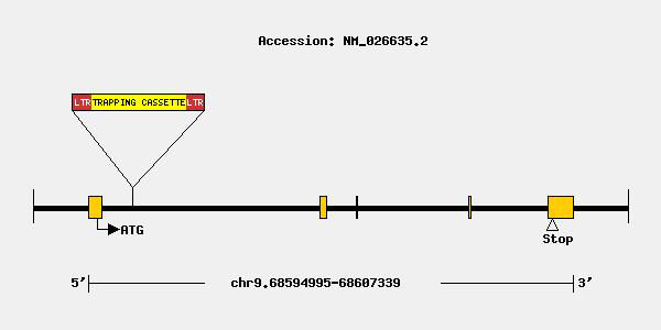 tf1417-mutation.jpg
