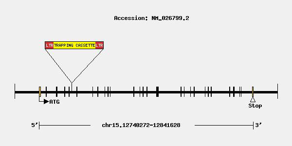 tf1492-mutation.jpg
