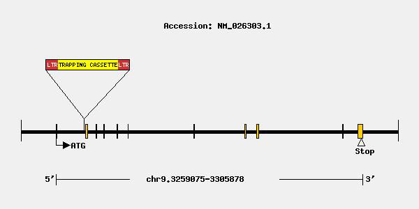 tf1653-mutation.jpg