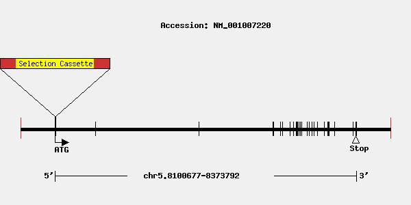 tf2252-mutation.jpg