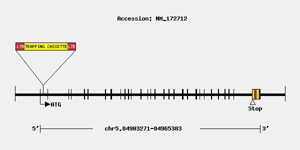 tf2991-mutation.jpg