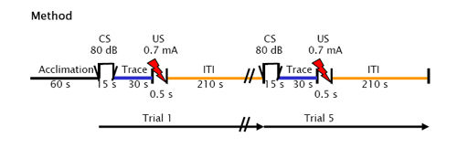 Diagram representing method for trace conditioning trials