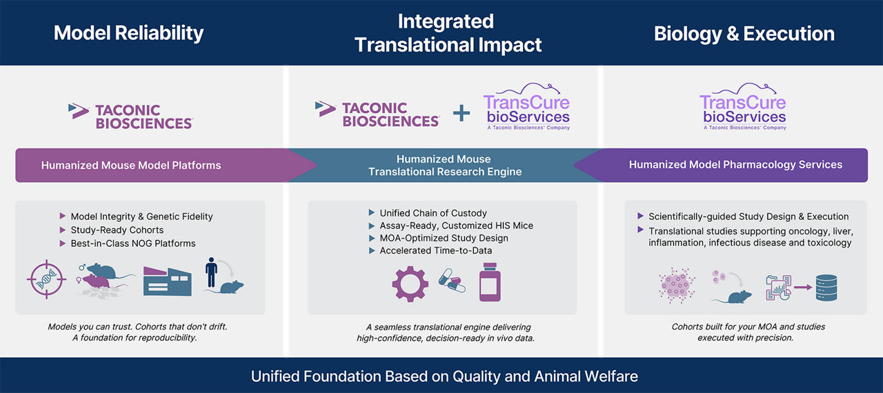 TransCure Infographic